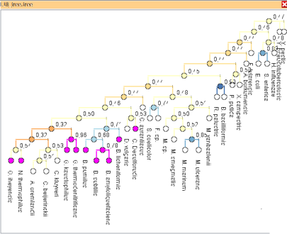 In phylogeny analysis, multiple, differing trees need to be analyzed simultaneously in a comparative way -- in particular to highlight differences between them, which sometimes can be subtle. We support comparison of several up to thousands of phylogenetic trees. We provide a set of interactive views comparing phylogenetic trees on various detail levels. The views incorporate information on similarity scores and allow highlighting of similar structures in multiple trees. They tVisual Search and Analysis 20 created by 'mi03niza (Kromminga, Lukas) (Kromminga, Lukas)' on uploading a picture