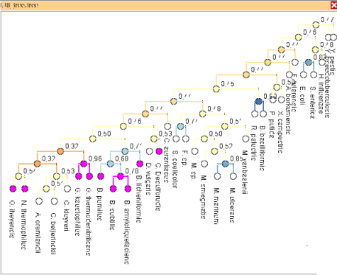 In phylogeny analysis, multiple, differing trees need to be analyzed simultaneously in a comparative way -- in particular to highlight differences between them, which sometimes can be subtle. We support comparison of several up to thousands of phylogenetic trees. We provide a set of interactive views comparing phylogenetic trees on various detail levels. The views incorporate information on similarity scores and allow highlighting of similar structures in multiple trees. They tVisual Search and Analysis 20 created by 'mi03niza (Kromminga, Lukas) (Kromminga, Lukas)' on uploading a picture