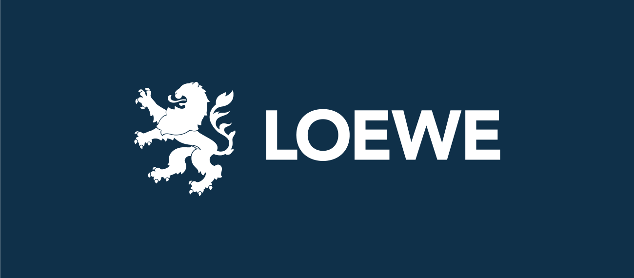 Loewe Brushed Logo T-Shirt – ZAP