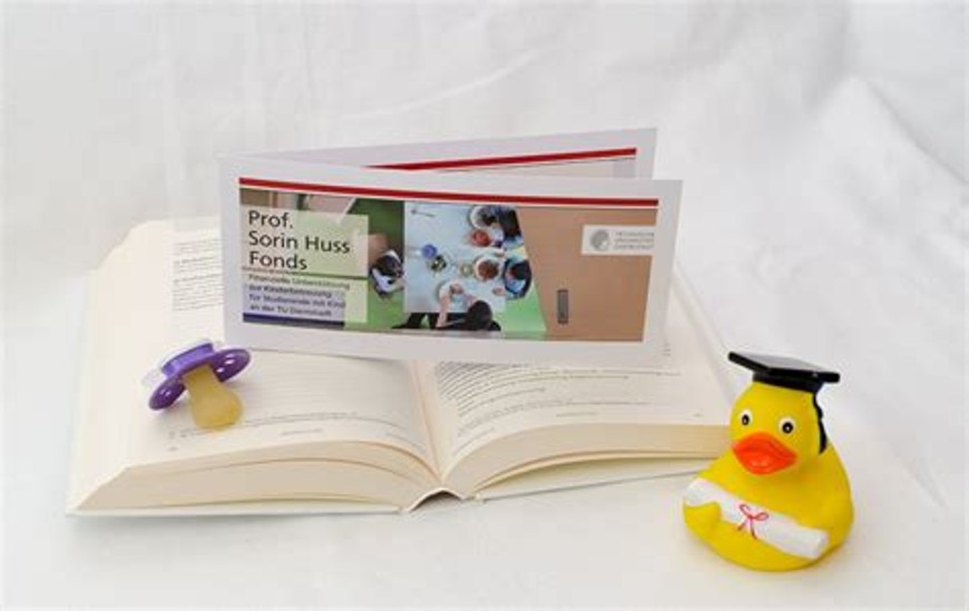 Buch, Schnuller und Flyer Sorin Huss Fond