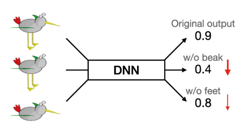 Das von Schaub-Meyer et al. [1] mitentwickelte Framework FunnyBirds kann zur Evaluierung von Explainable AI-Methoden verwendet werden. Durch das Entfernen einzelner Vogelteile und die Messung der Leistungsveränderung konnten die Wissenschaftler*innen die Bedeutung der einzelnen Teile für die Grundwahrheit annähern. In diesem Beispiel ist der Schnabel wichtiger als die Füße.
[1] Robin Hesse, Simone Schaub-Meyer, Stefan Roth. FunnyBirds: A Synthetic Vision Dataset for Evaluating Explainable AI Methods. International Conference on Computer Vision (ICCV), 2023.
