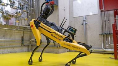 Roboterhund Spot