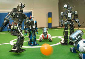 Autonomous Humanoid Soccer Robots
